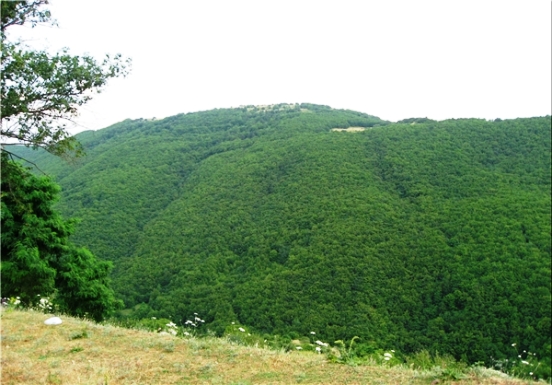 منطقه حفاظت شده ارسباران