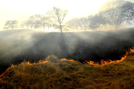 آتش سوزی مراتع در شهرستان ورزقان